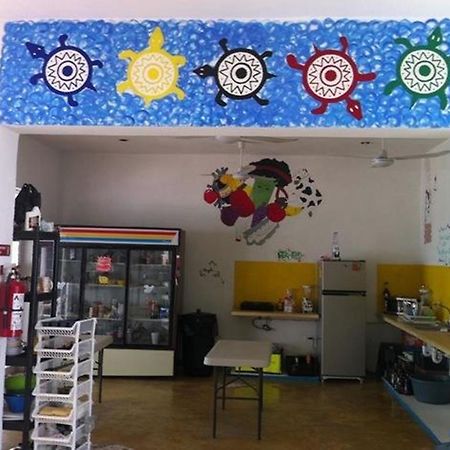 Hostal Vive La Vida 普拉亚卡门 外观 照片