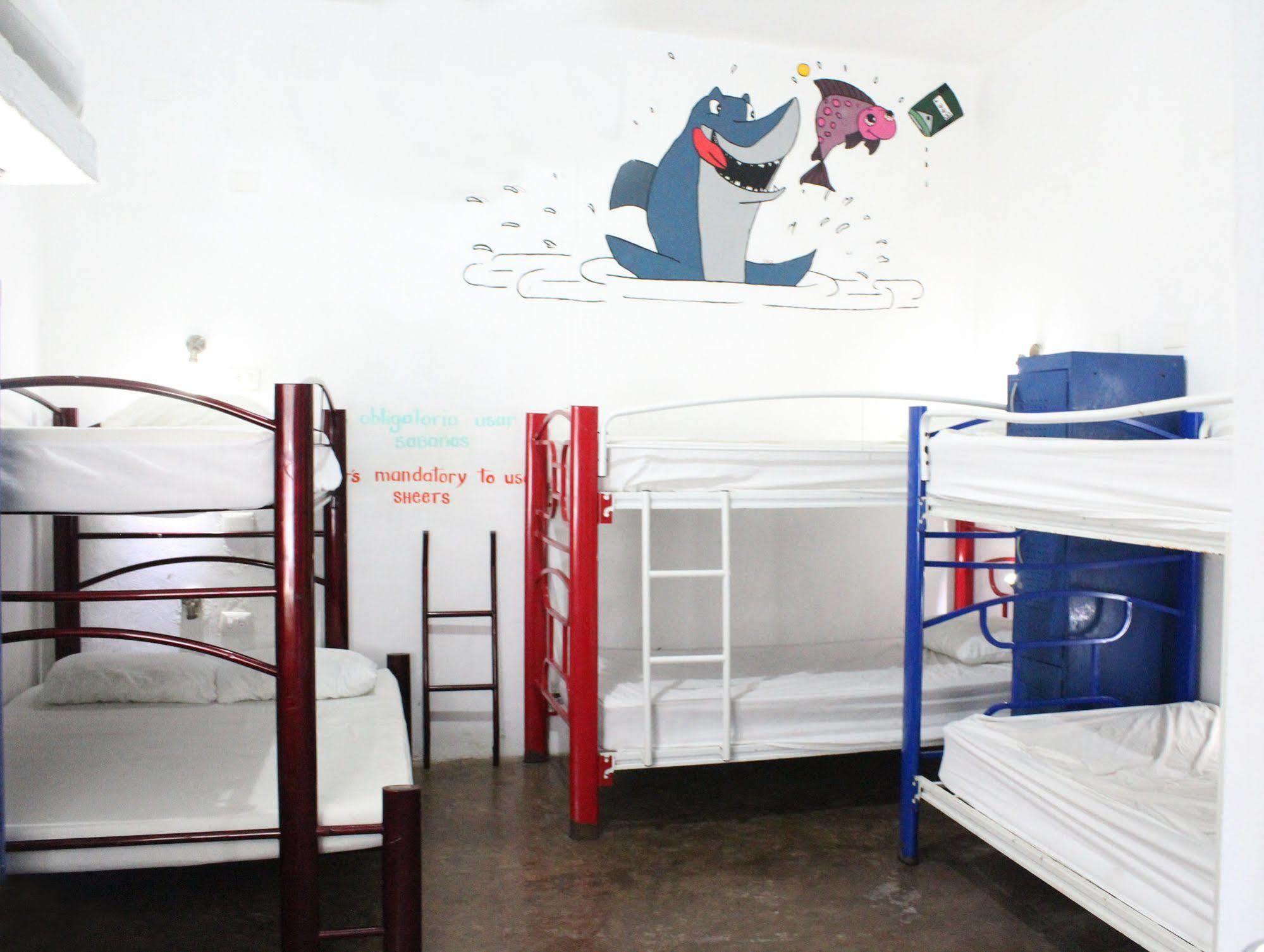 Hostal Vive La Vida 普拉亚卡门 外观 照片