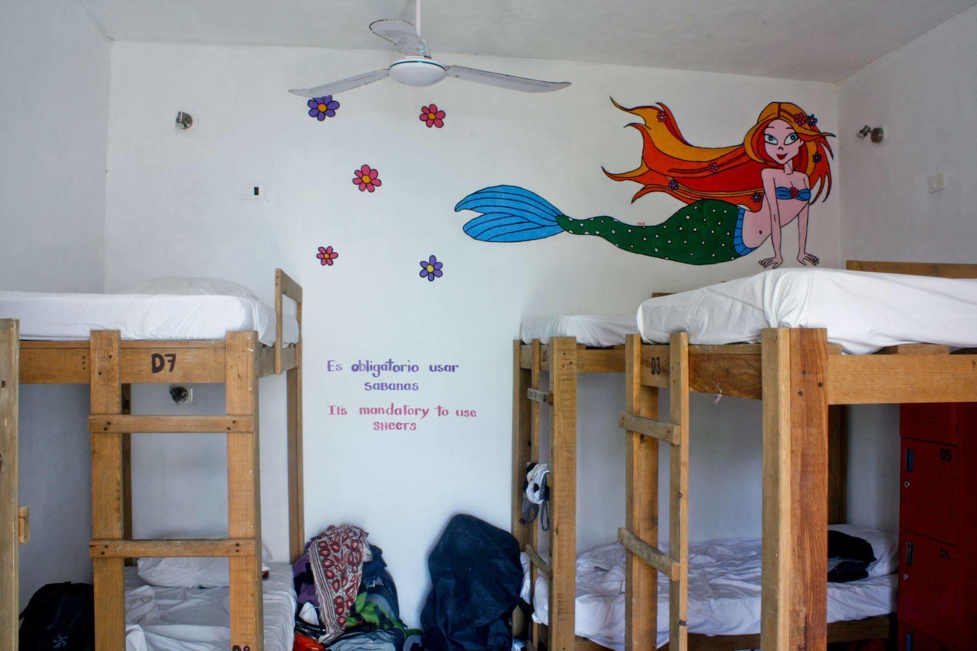 Hostal Vive La Vida 普拉亚卡门 外观 照片