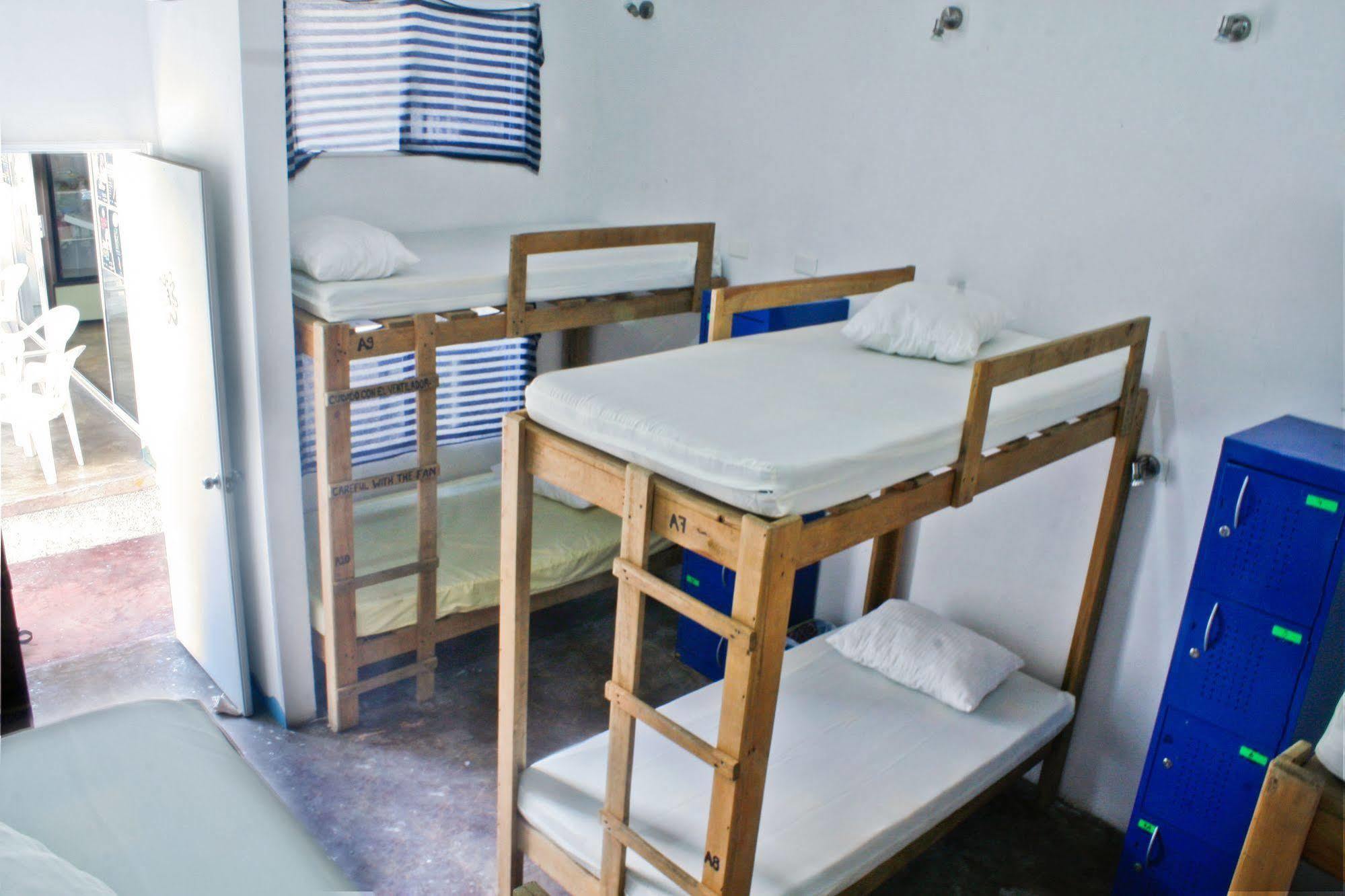 Hostal Vive La Vida 普拉亚卡门 外观 照片